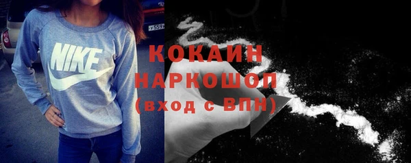 молекула духа Алексин
