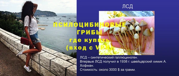 сатива Абдулино